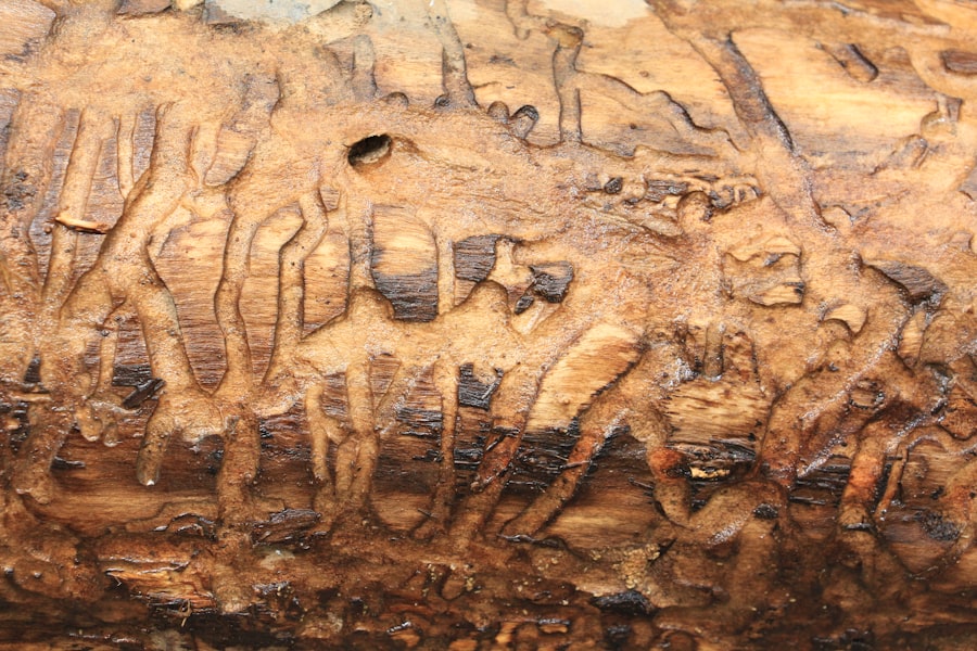 forged signature