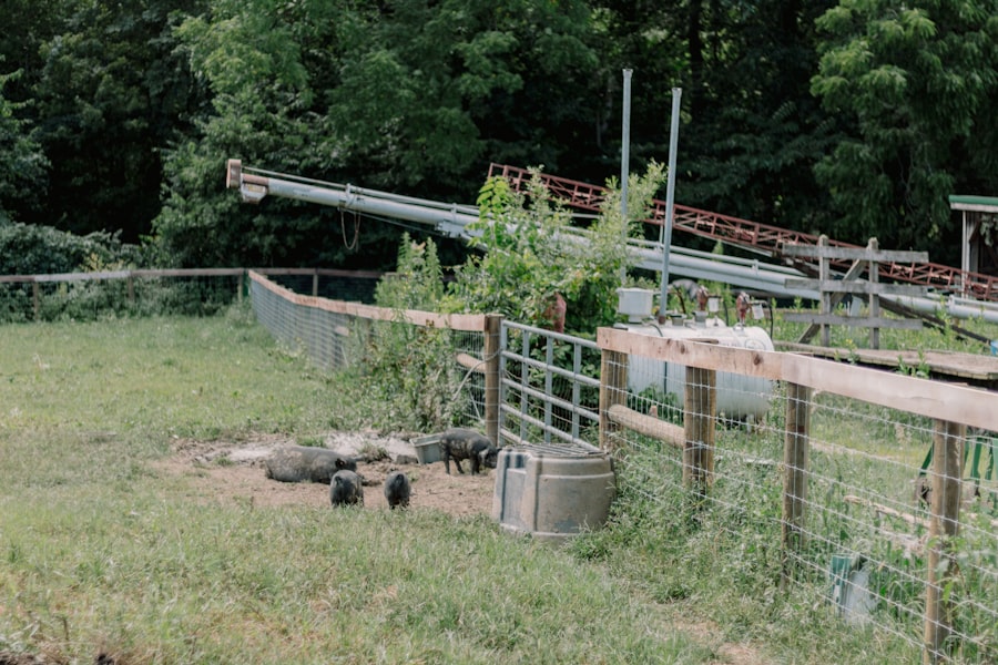 family farm