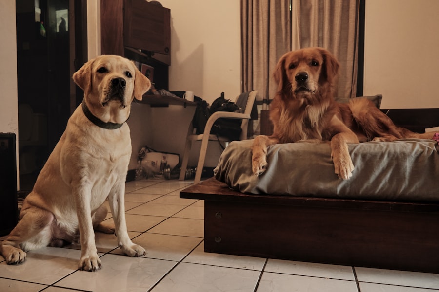 family betrayal