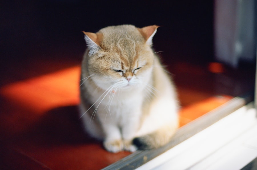 betrayed