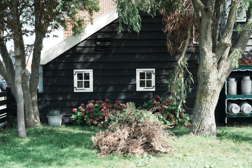 Photo Inheriting a house with a secret