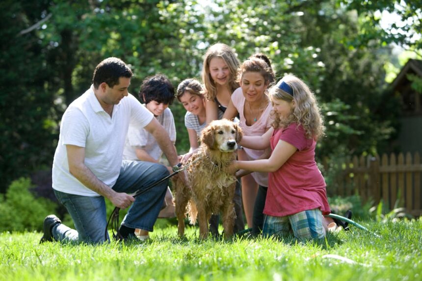 Photo family