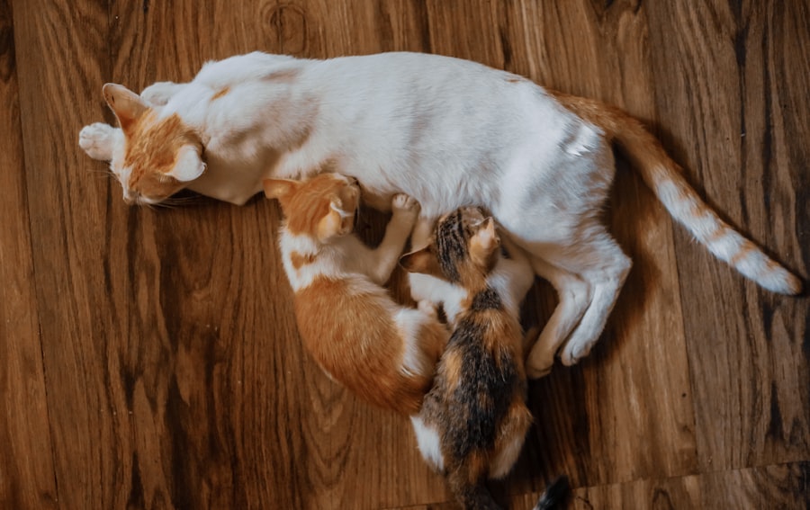 Photo family betrayal