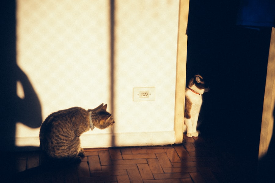 Photo betrayal