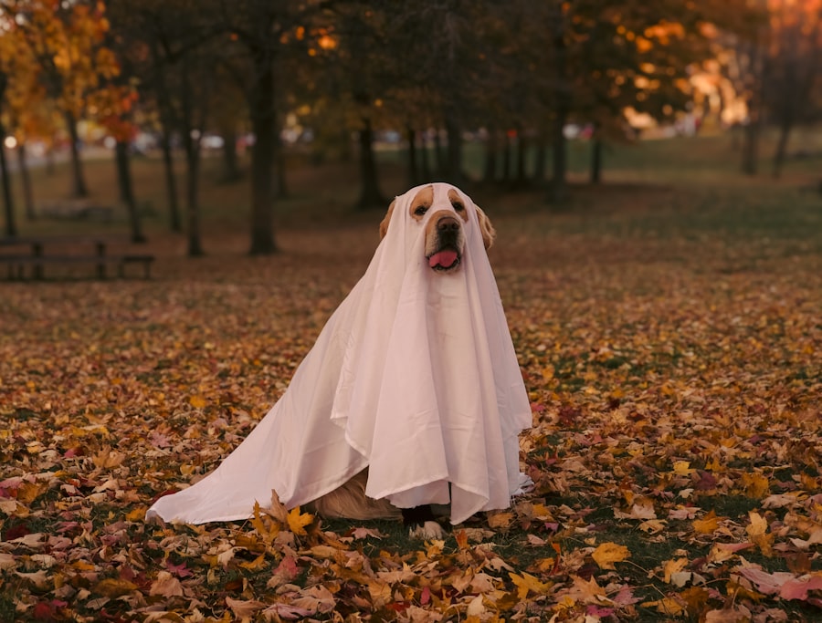 Photo Ghost accountant