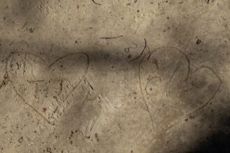 Photo forged signature