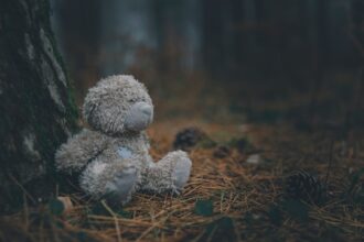 Photo emotional inheritance story