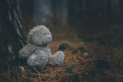 Photo emotional inheritance story