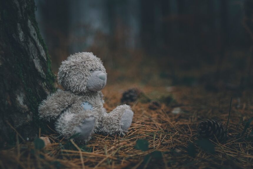 Photo emotional inheritance story