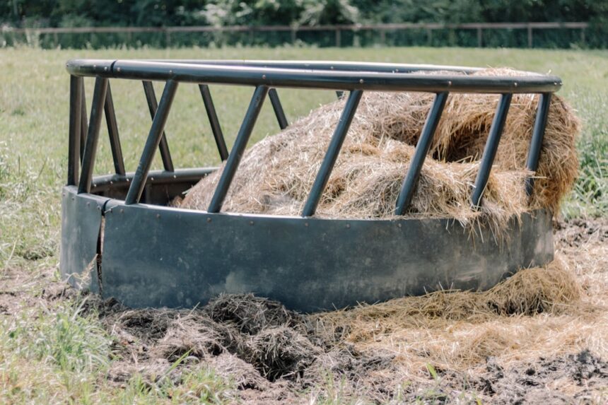 Photo family farm