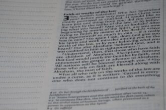 Photo document examiner analysis