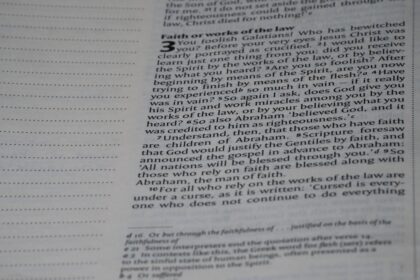 Photo document examiner analysis