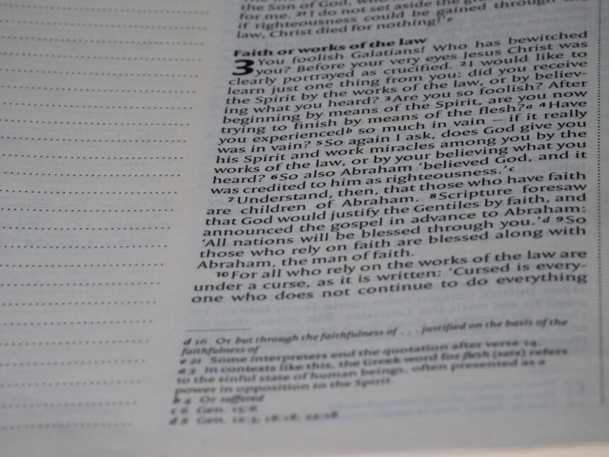 Photo document examiner analysis