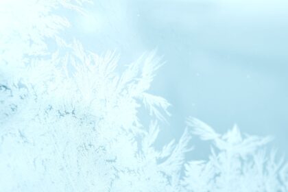 Photo freeze bank accounts