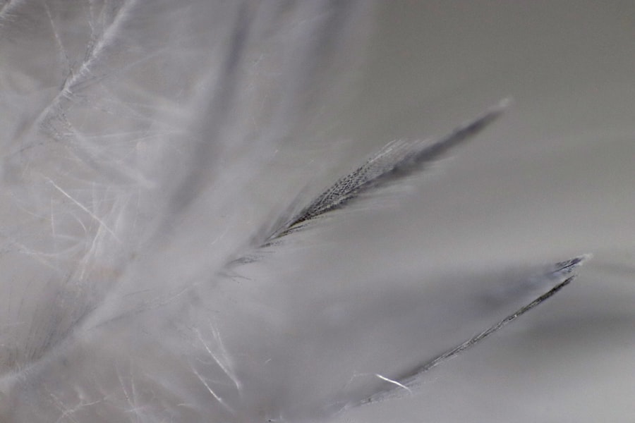 Photo confetti reveal