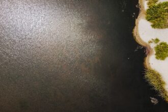 Photo influencer scam