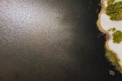 Photo influencer scam