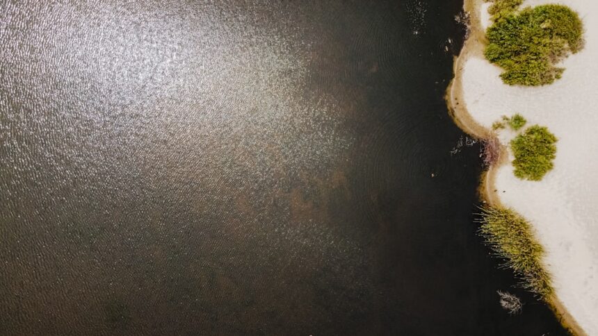 Photo influencer scam