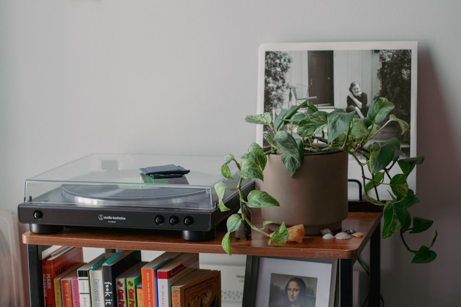 purchase domestic serenity