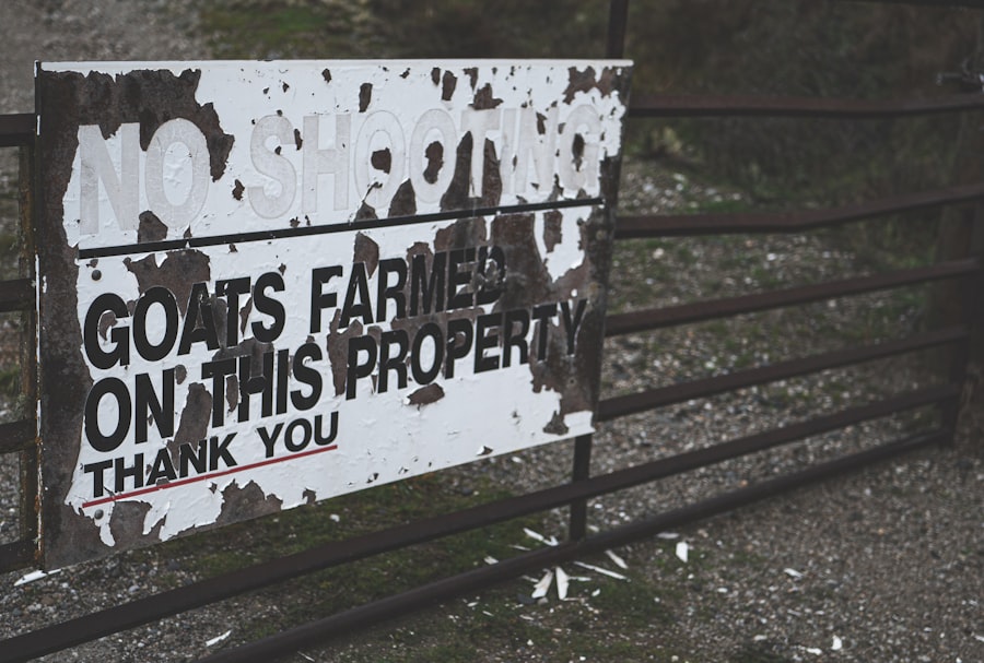 protect property family