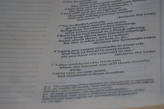 Photo Spreadsheet evidence