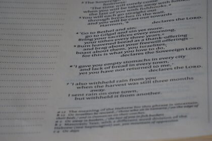 Photo Spreadsheet evidence