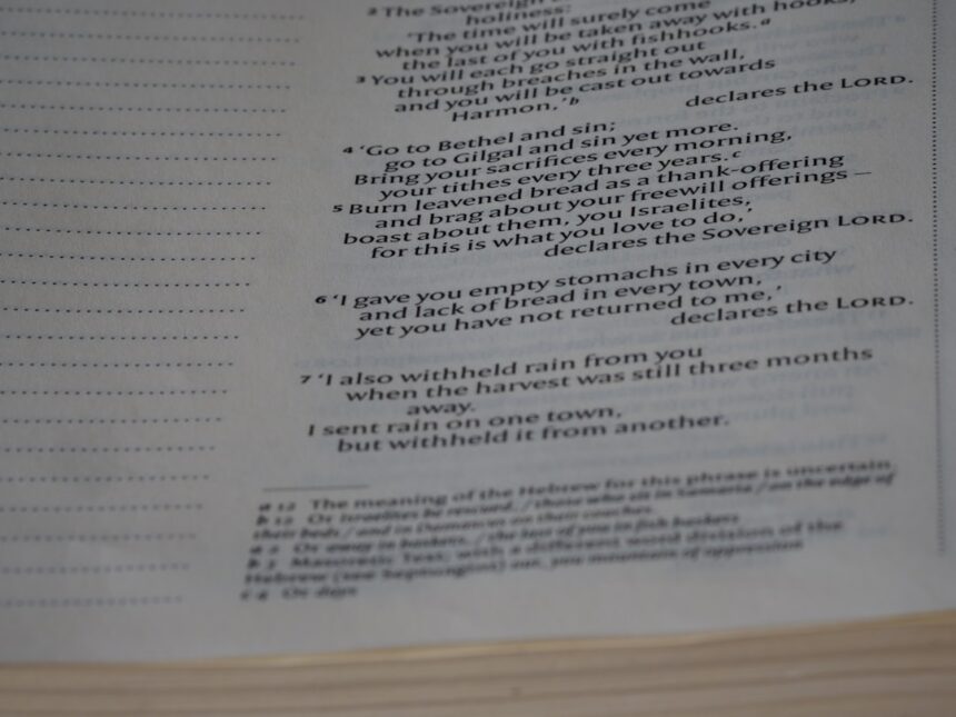 Photo Spreadsheet evidence