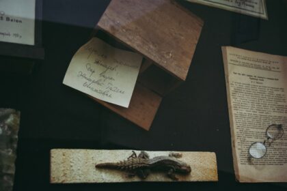 Photo evidence preservation techniques