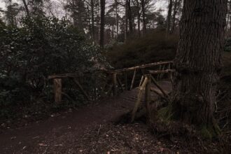 Photo takedown access logs