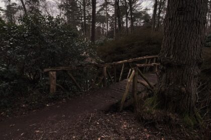 Photo takedown access logs