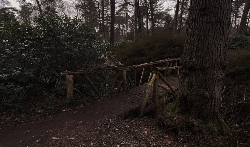 Photo takedown access logs