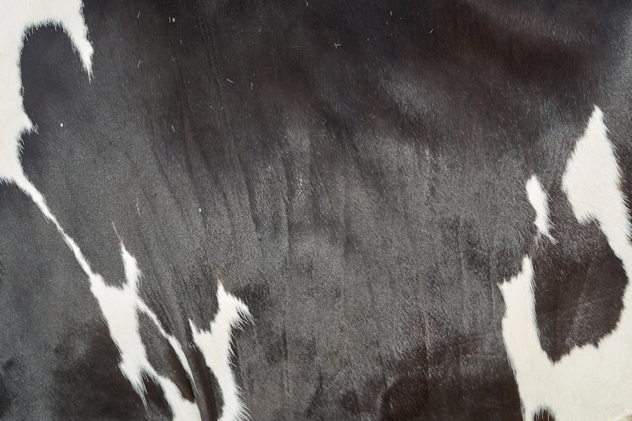 Photo co-founder betrayal