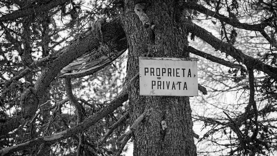 property dispute