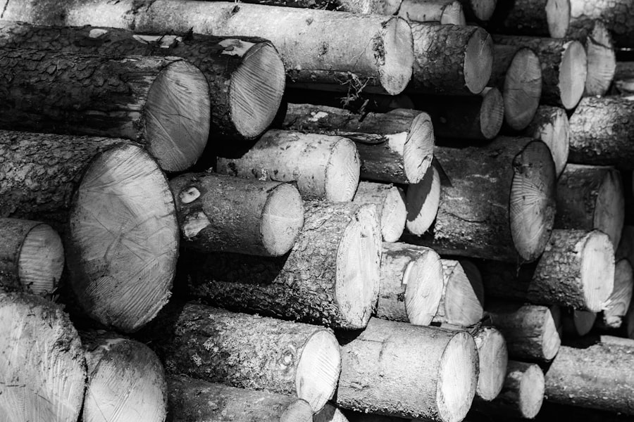 export logs legal evidence