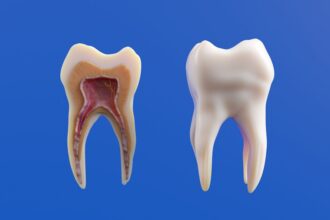 Photo nervous system