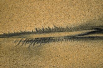 Photo watermark technique