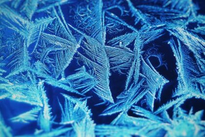 Photo freeze business assets