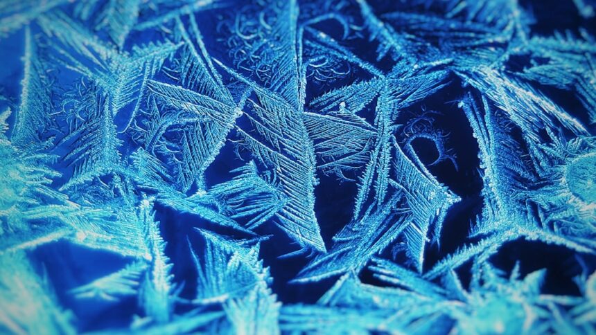 Photo freeze business assets