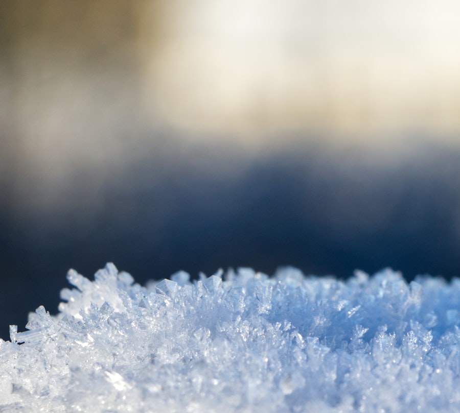 Photo freeze business assets