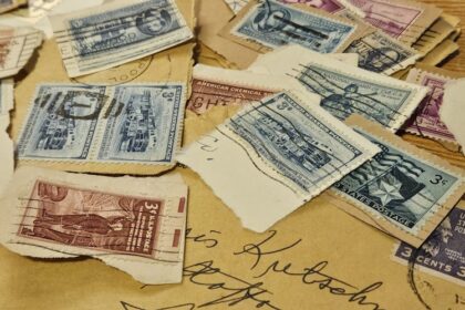 Photo merchant account fraud investigation