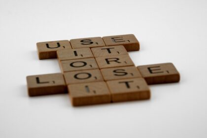 Photo dropshipping business failure