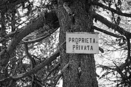 Photo property dispute