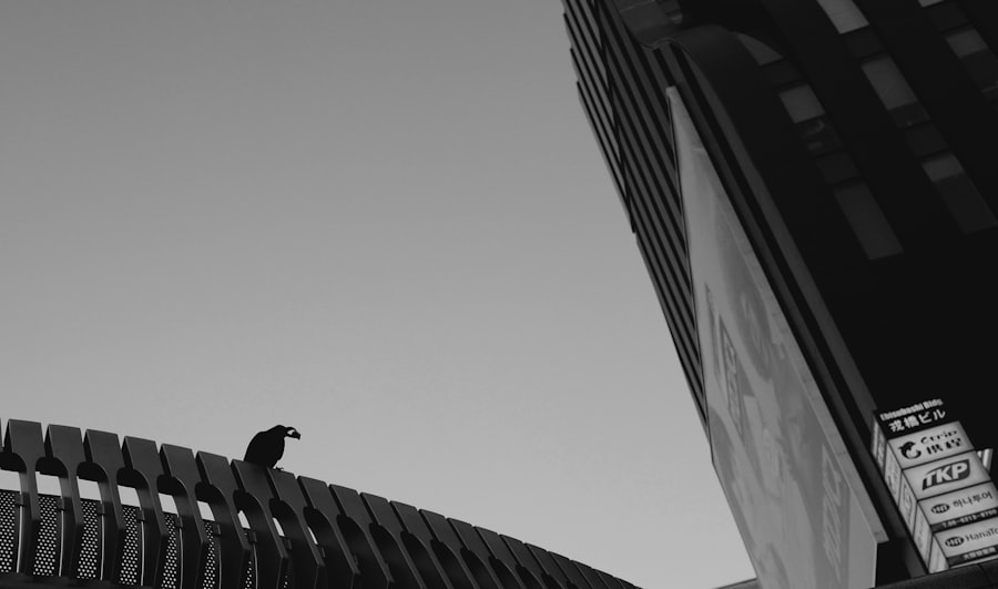 narcissists and financial abuse