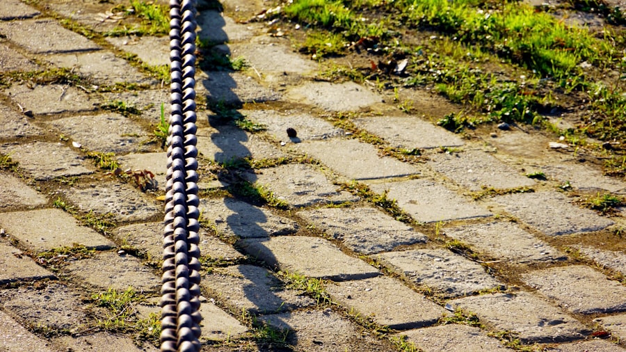 track structured bank withdrawals