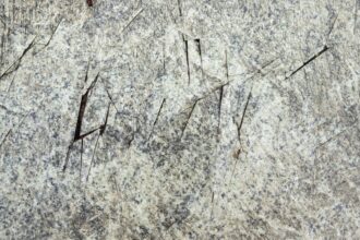 Photo forged signature