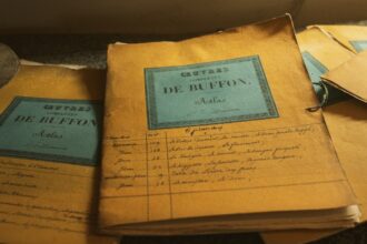 Photo document forgery