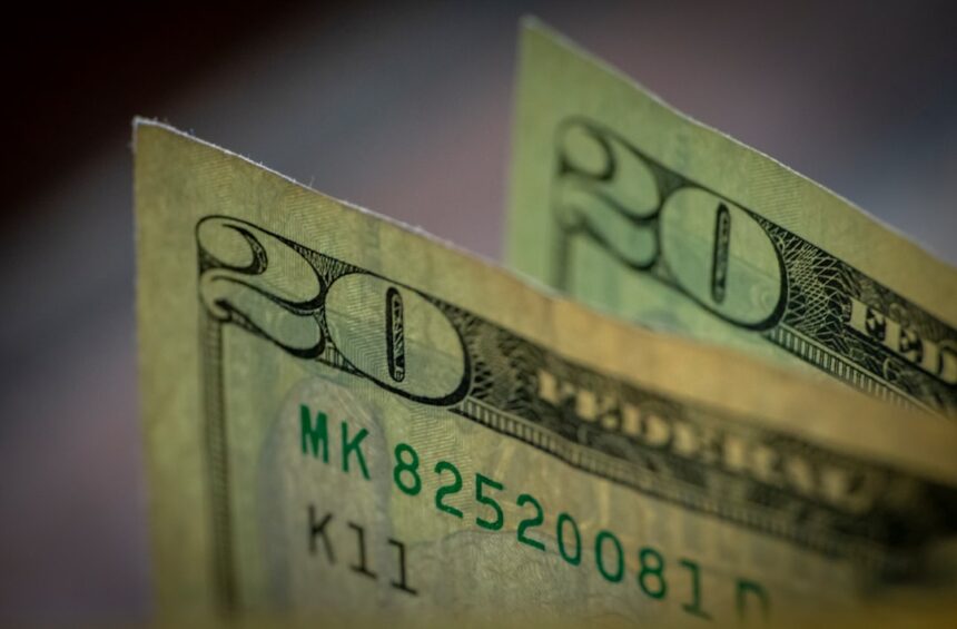 Photo financial fraud revenge story