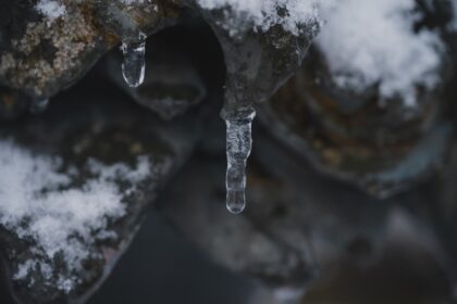 Photo asset freezing