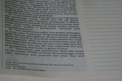 Photo forensic accounting