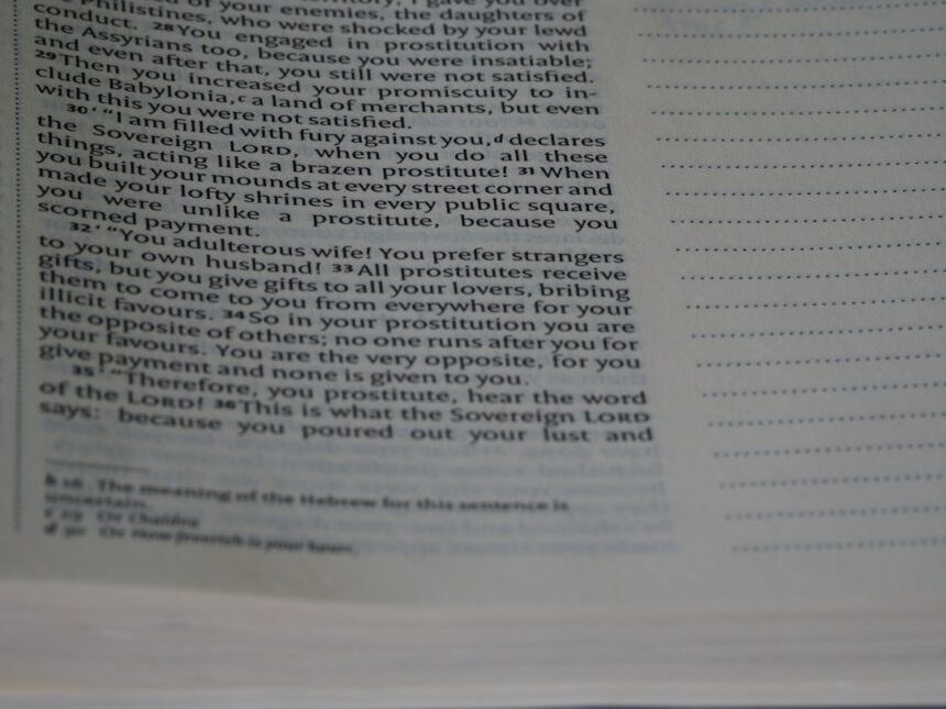 Photo forensic accounting